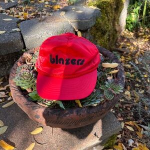 Vintage Blazers Adjustable Hat